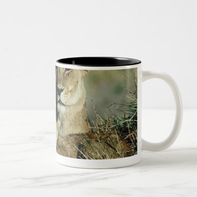 Okavango Delta, Botswana Two-Tone Coffee Mug (Right)
