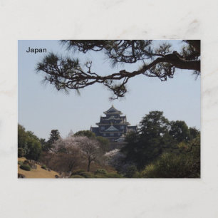 Okayama Castle, Okayama, Japan Postcard