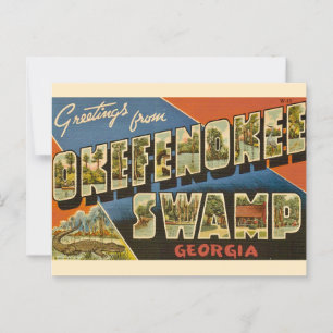 Okefenokee Swamp GA Postcard