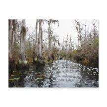 Okefenokee Swamp, Georgia