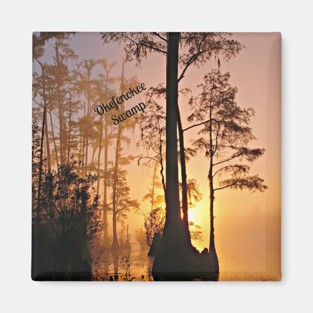 Okefenokee Swamp Magnet (Front)