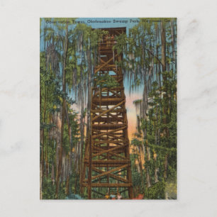 Okelenokee Swamp Park, Waycross, Georgia Postcard