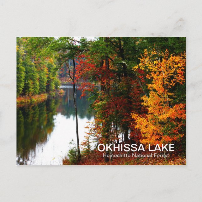 Okhissa Lake - Homochitto National Forest Postcard (Front)