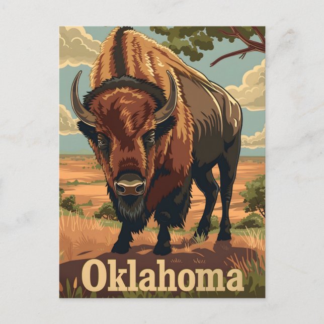 Oklahoma Bison Vintage Postcard (Front)