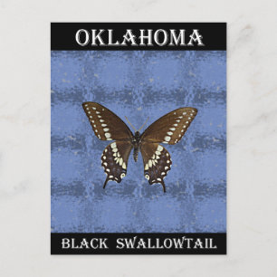 Oklahoma Black Swallowtail Butterfly Postcard