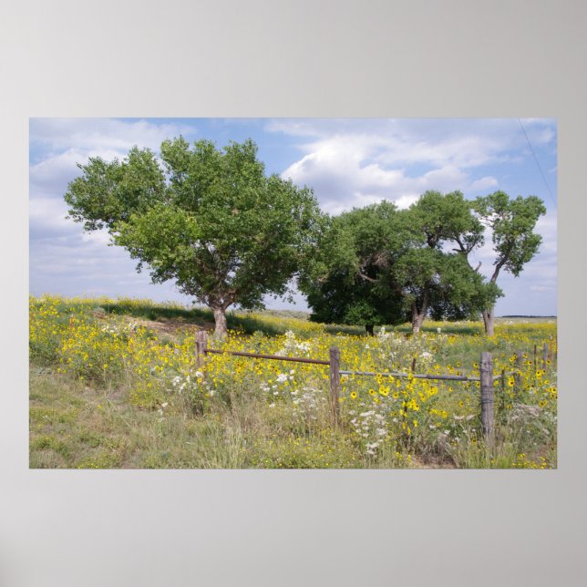 Oklahoma Country Poster (Front)