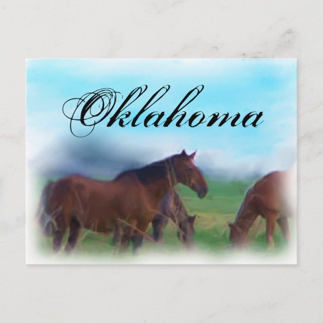 Oklahoma Horses Postcard (Front)