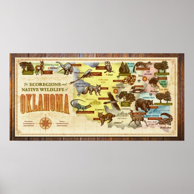 Oklahoma Map: Ecoregions & Native Wildlife Poster (Front)