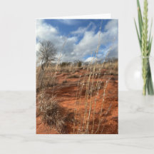 Oklahoma Prairie Card - Blank