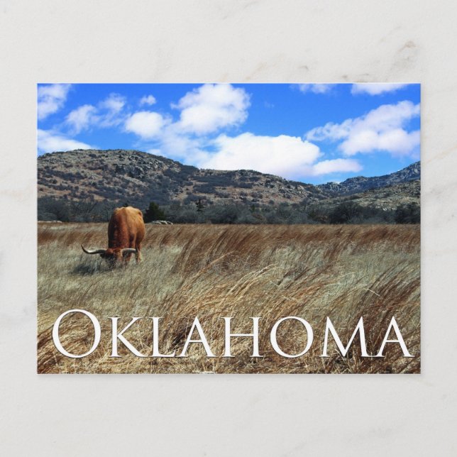 Oklahoma Prairie Postcard (Front)