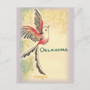 Oklahoma Scissortail Bird Postcard