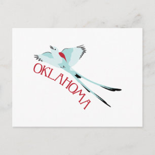 Oklahoma Scissortail Postcard