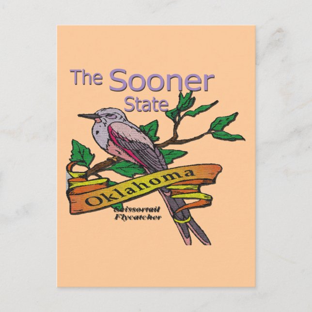 Oklahoma Sooner StateScissortail Flycatcher Postcard (Front)