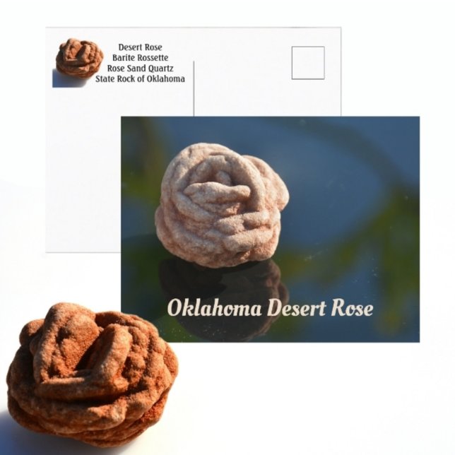 Oklahoma State Rock Desert Rose Photographic Postcard (Creator Uploaded)