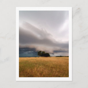 Oklahoma Storm Postcard