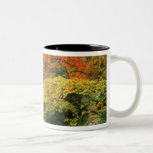 Okochi Sanso, Arashiyama, Kyoto, Japan 2 Two-Tone Coffee Mug