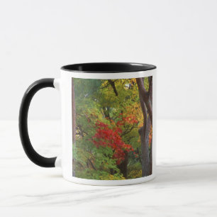 Okochi Sanso, Arashiyama, Kyoto, Japan 5 Mug