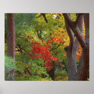 Okochi Sanso, Arashiyama, Kyoto, Japan 5 Poster