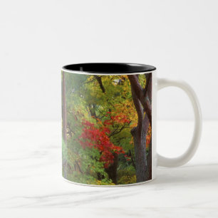Okochi Sanso, Arashiyama, Kyoto, Japan 5 Two-Tone Coffee Mug