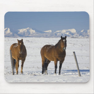 okotoks, alberta, canada mouse mat