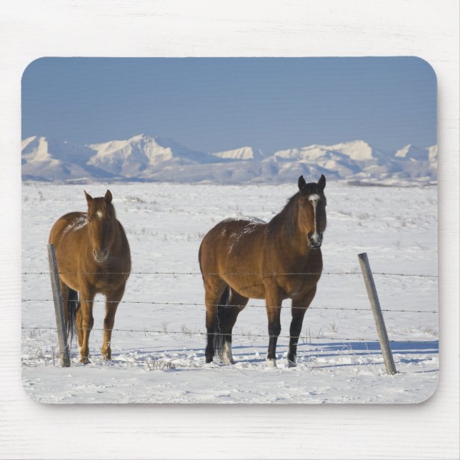 okotoks, alberta, canada mouse mat (Front)