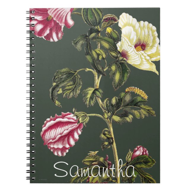 Okra Notebook (Front)
