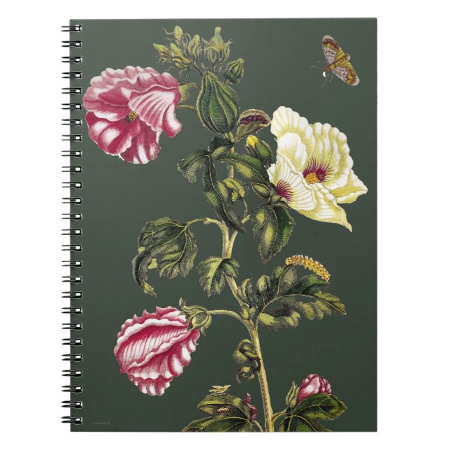 Okra Notebook (Front)