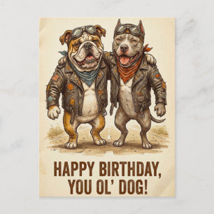 Ol' Dog Birthday Card