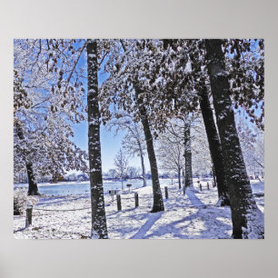 "OLANDER PARK IN SNOW" POSTER