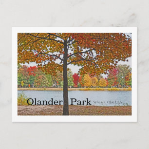 Olander Park, Sylvania,Ohio USA/Autumn Colours Postcard