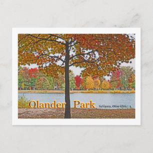 Olander Park, Sylvania,Ohio USA/Autumn Colours Postcard
