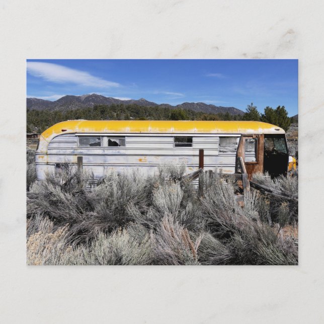 Old Abandoned School Bus Postcard (Front)