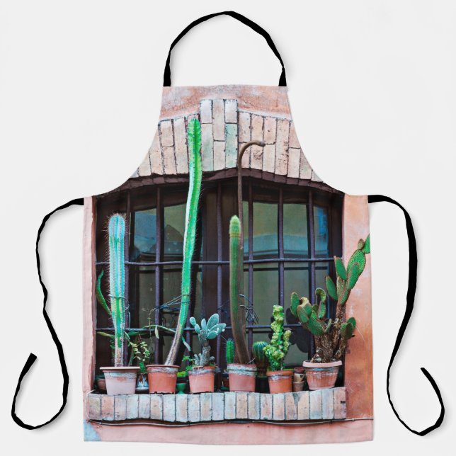 Old abandoned window with group of cactus flower p apron (Front)