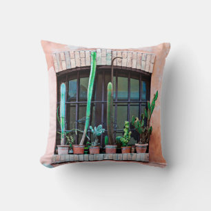 Old abandoned window with group of cactus flower p cushion