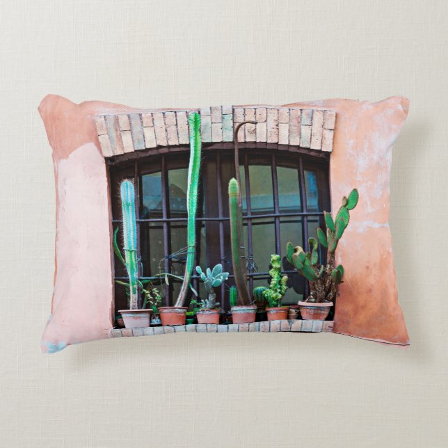 Old abandoned window with group of cactus flower p decorative cushion (Front)