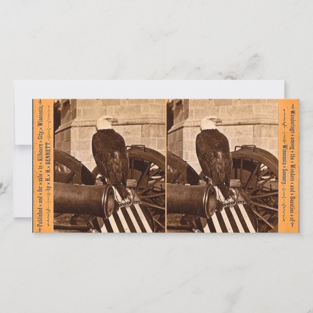 Old Abe, The Wisconsin War Eagle- Stereoview (Front)