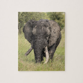 Old African elephant bull - broken tusk (Africa) Jigsaw Puzzle