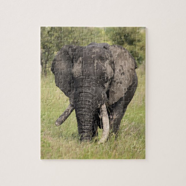 Old African elephant bull - broken tusk (Africa) Jigsaw Puzzle (Vertical)
