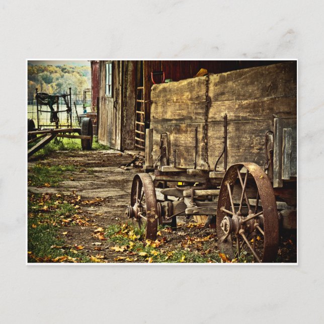Old Amish Wagon Postcard (Front)