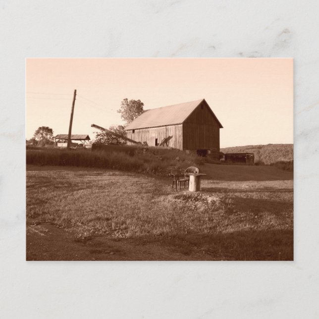 Old And Steady Barn-  Postcard (Front)
