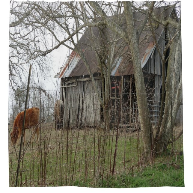 Old Antique Barn Shower Curtain (Front)