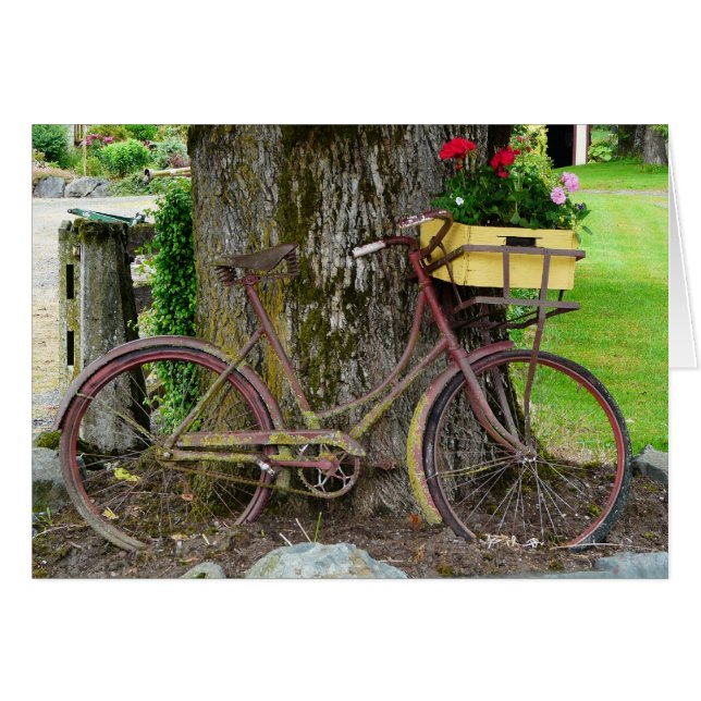 Old Antique Bicycle with Flower Basket (Front Horizontal)