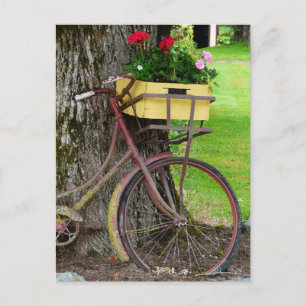 Old Antique Bicycle with Flower Basket Postcard