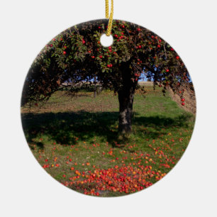 Old Apple Tree Ceramic Tree Decoration