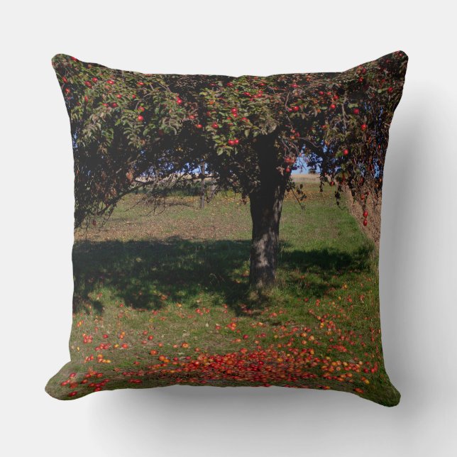 Old Apple Tree Cushion (Front)