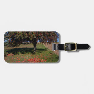 Old Apple Tree Luggage Tag