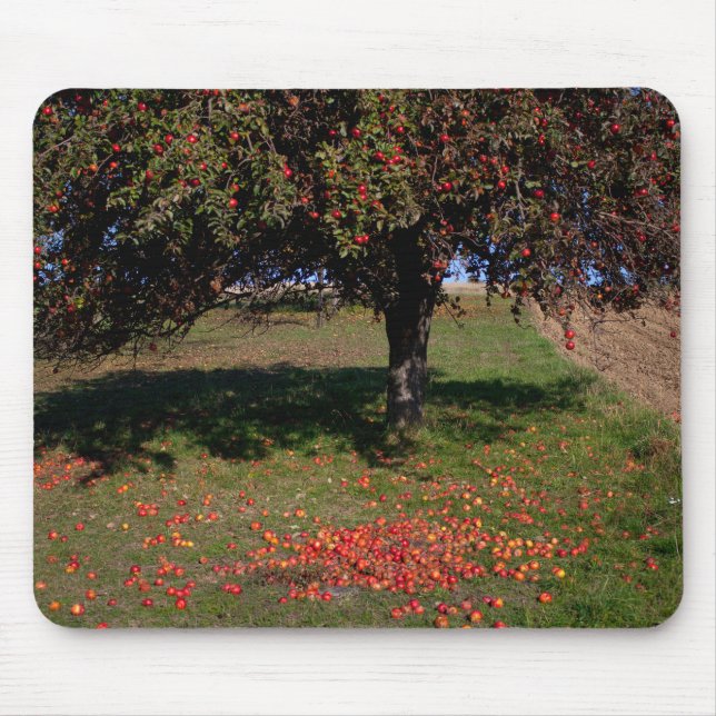 Old Apple Tree Mouse Mat (Front)