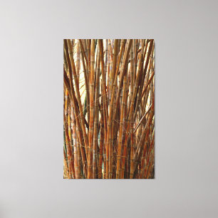 Old Bamboo Canvas Print