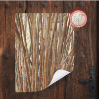 Old Bamboo