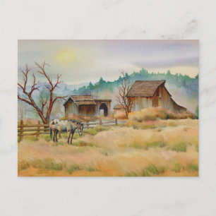 OLD BARN & APPALOOSA by SHARON SHARPE Postcard
